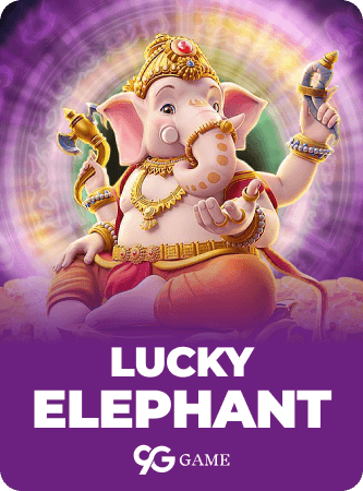 Lucky elephant